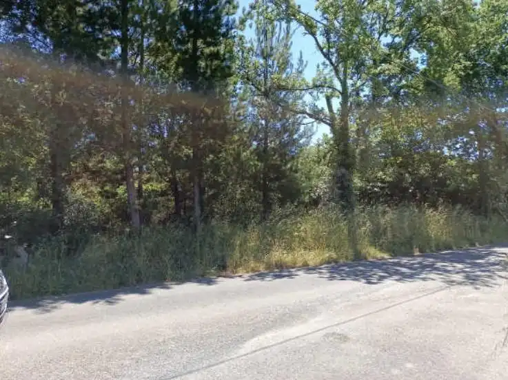 Terreni e lotti in vendita a 27150 1