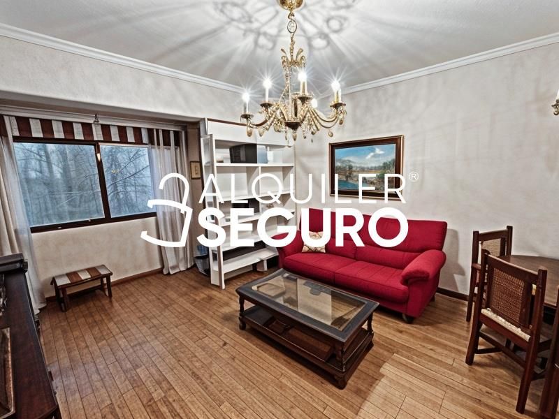 Living room of Flat to rent in  Madrid Capital  with Heating, Terrace and Furnished