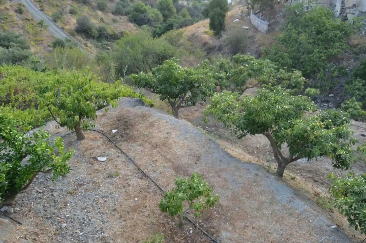 Country house with garden for sale in Camino Río Seco, imagen 4