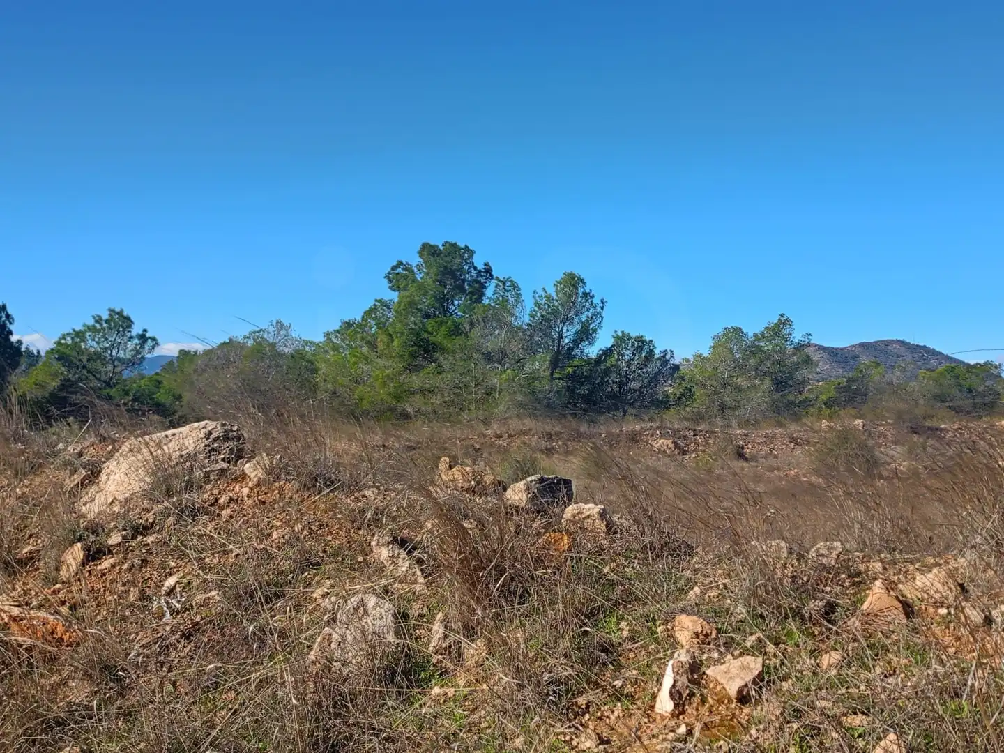 Grundstücke zum Verkauf in Lorca