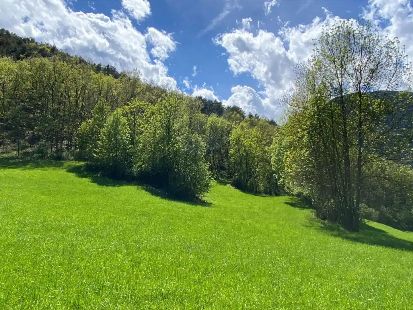 Terreno en venta en Tírvia