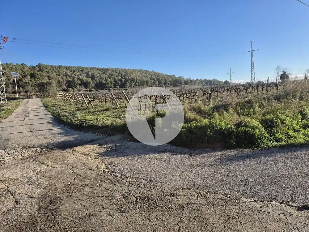 Casa rústica en venda a Sant Martí Sarroca, imagen 32