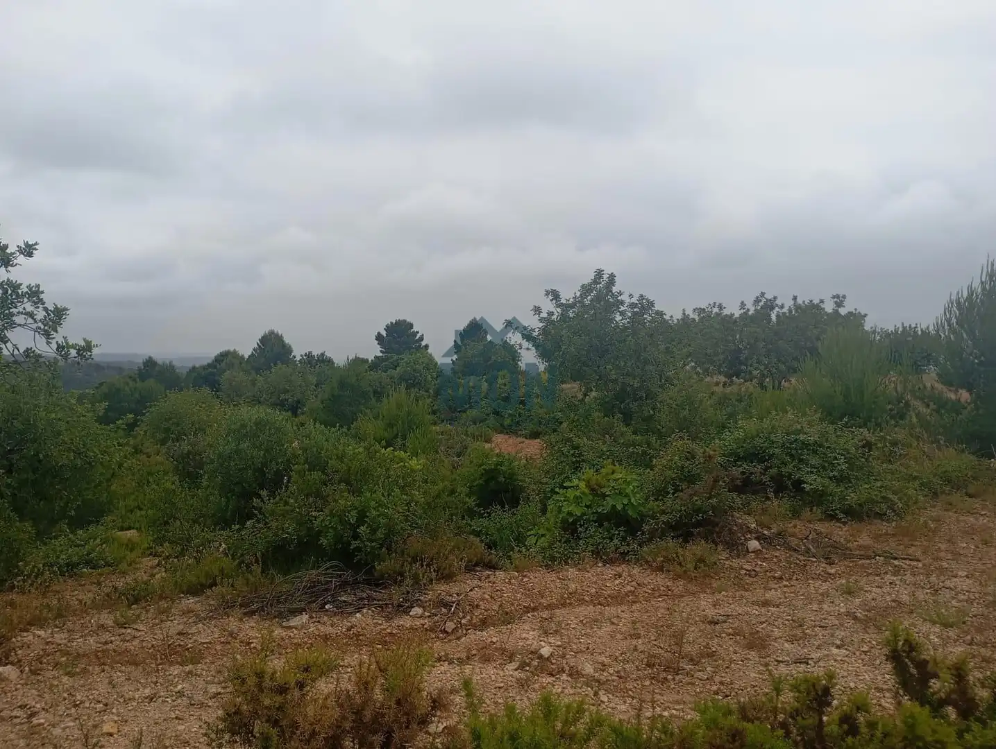 Terreno rustico in vendita a Buñol, imagen 10