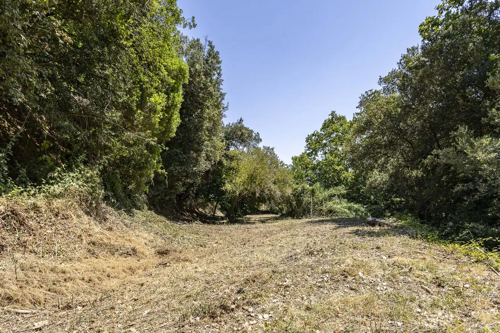 Casa con jardín en venta en Torrelles de Llobregat, imagen 4