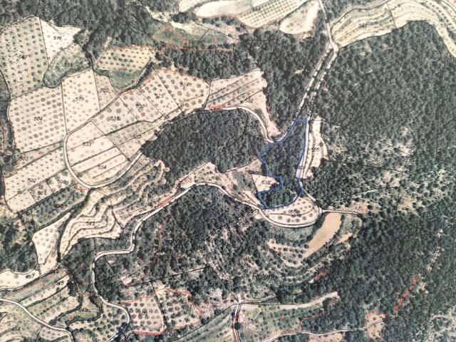 Terreno en Venta en  Polígono 18 Parcela 559 LA ROTURA. BICORP (VALENC, 18 en Bicorp