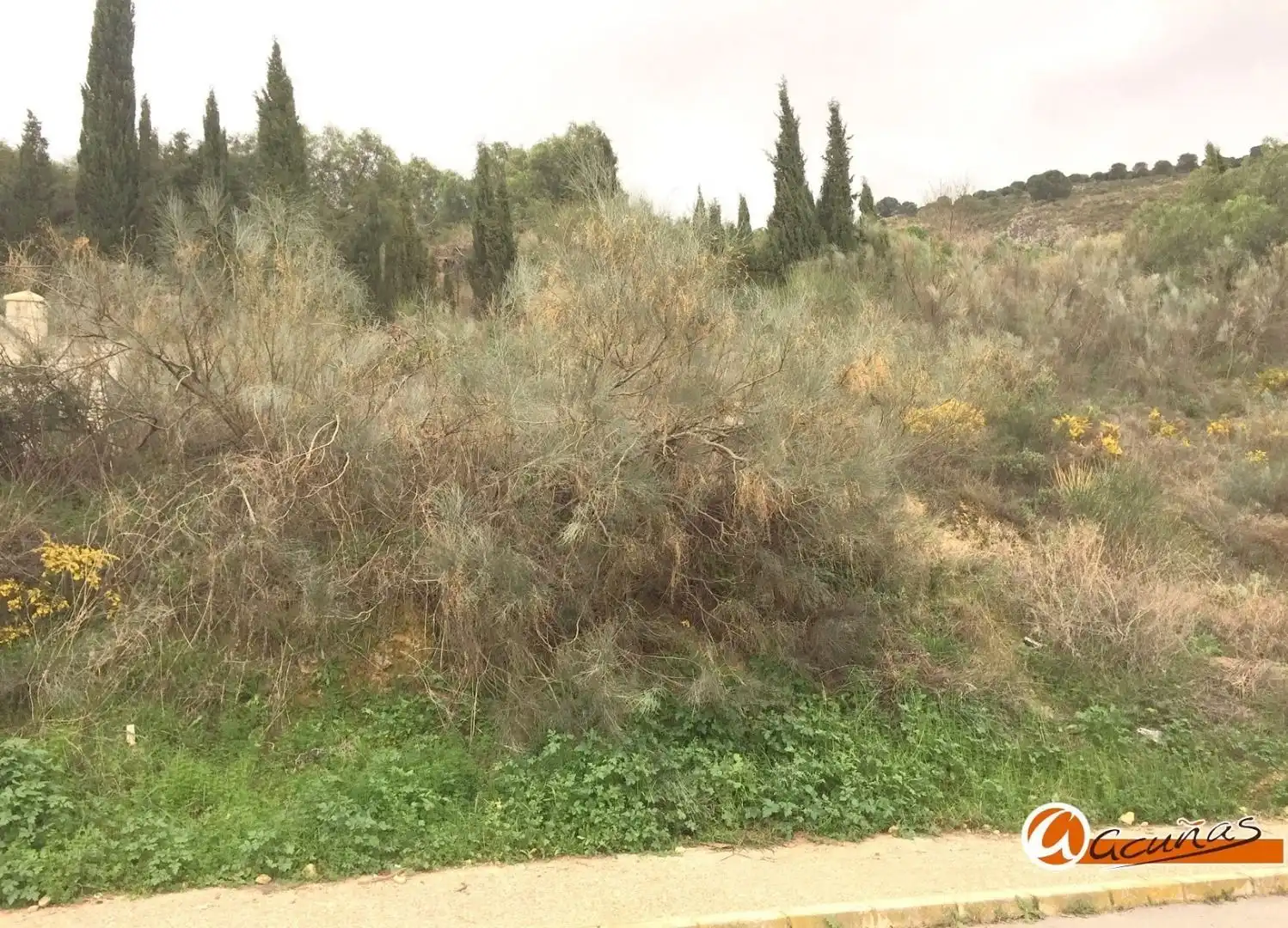 Lands and plots for sale in Fuentemora, imagen 5