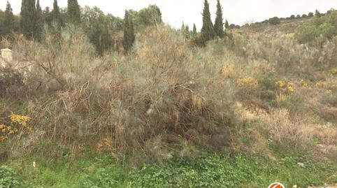 Foto 5 de Residencial en venta en Fuentemora, Antequera