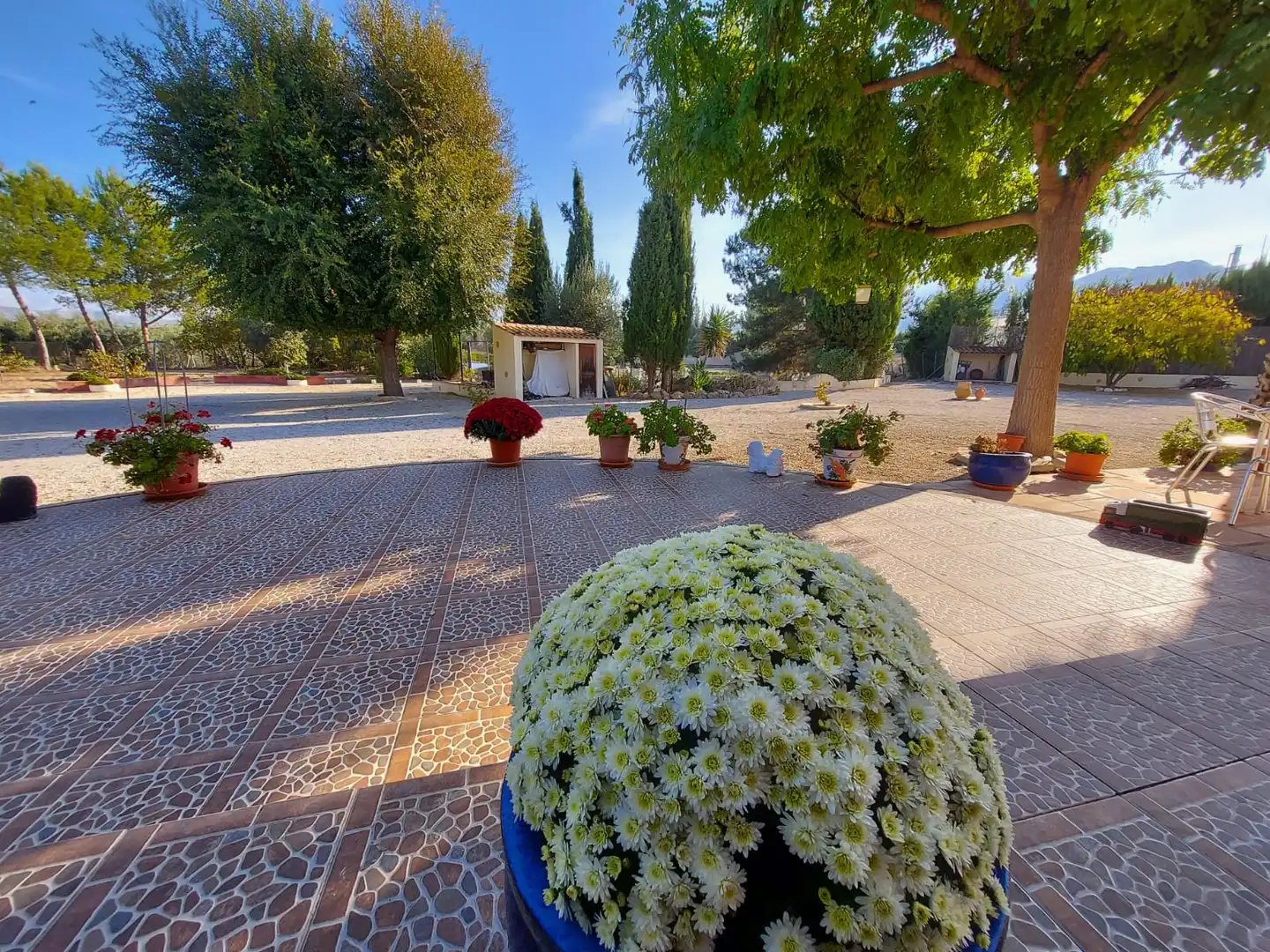 Maison rustique avec piscine à vendre à Calasparra, imagen 12