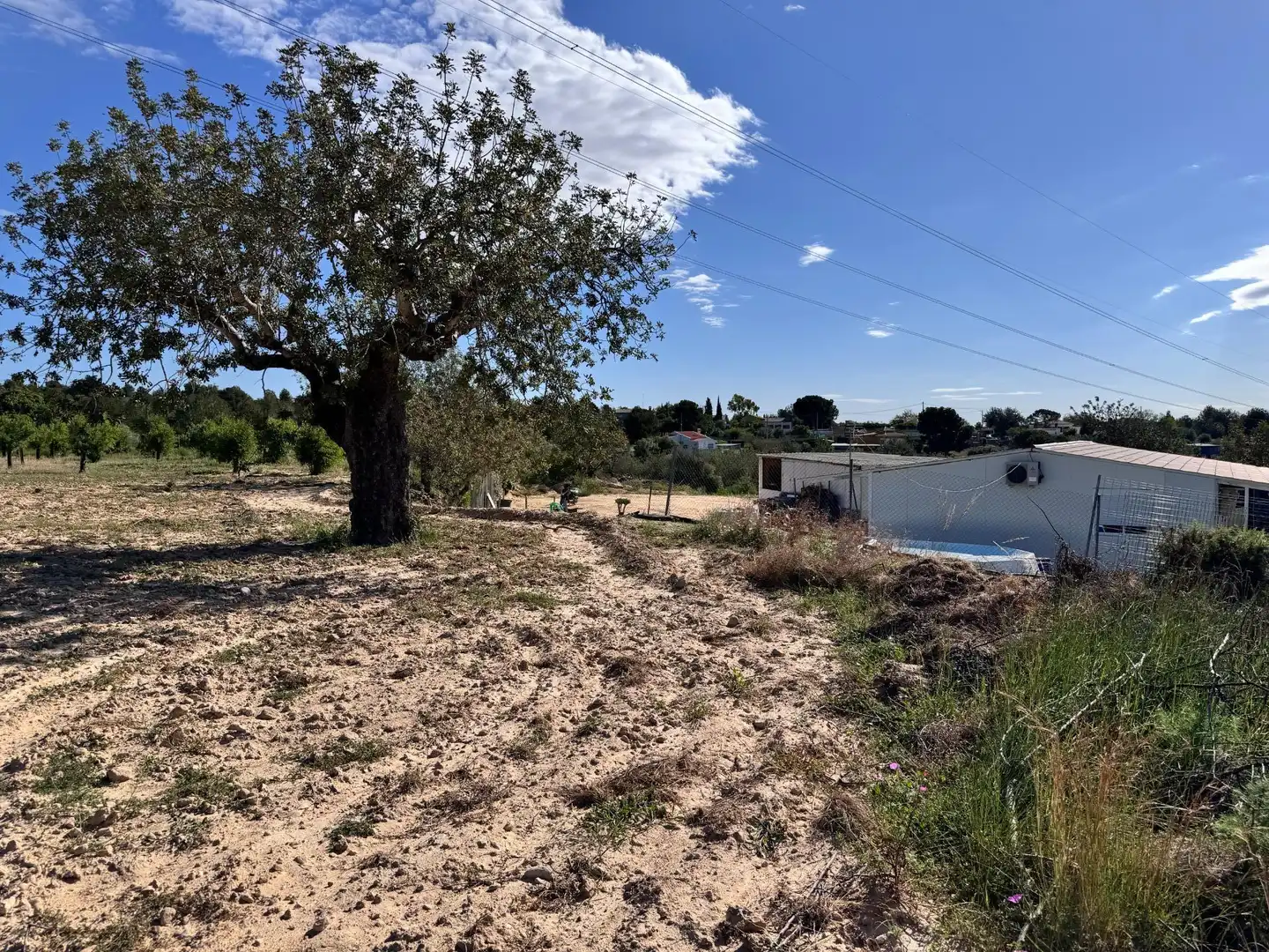Land for sale in Polígono 26 Parcela 21 CASA BLANCA-BARBETA. TORRE, 26, Poligono Mas del Jutge