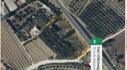 FINCA RUSTICA TOTALMENTE PLANA EN ALMOSTER, immagine 3