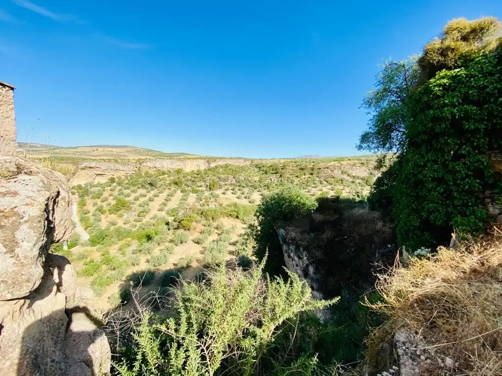 Terreni e lotti in vendita a Alhama de Granada, imagen 2