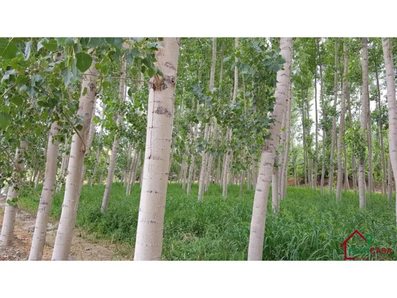Exterior view of Land for sale in Purullena