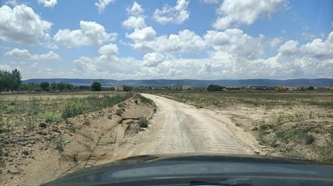 olivar cerca de mora , immagine 4