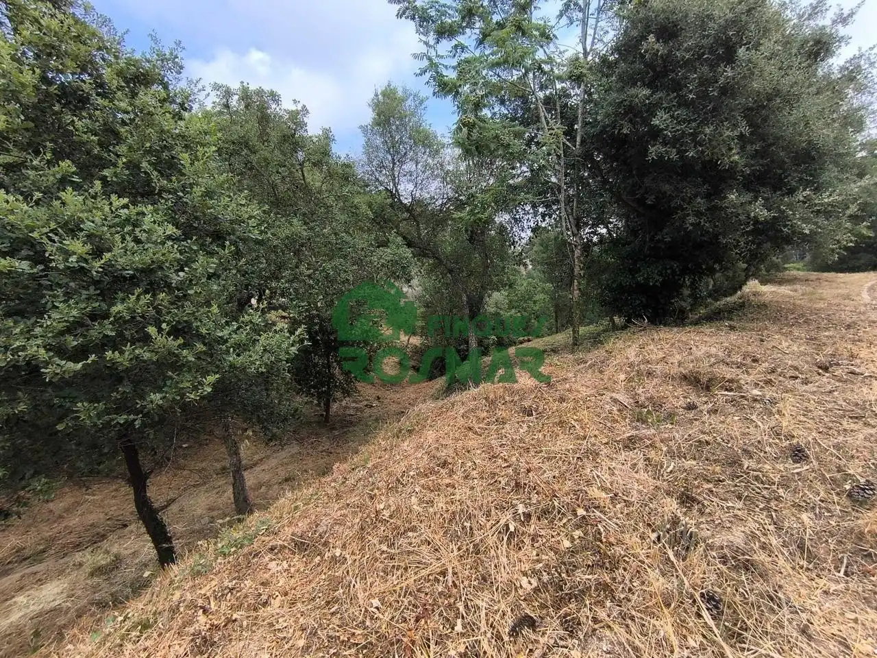 Terrenos y solares en venta en Lloret Blau - La Creu de Lloret, imagen 11