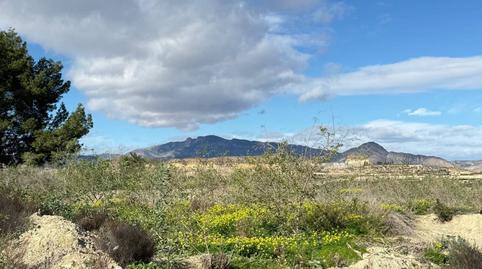 Photo 3 of Industrial land for sale in Ceutí, Murcia