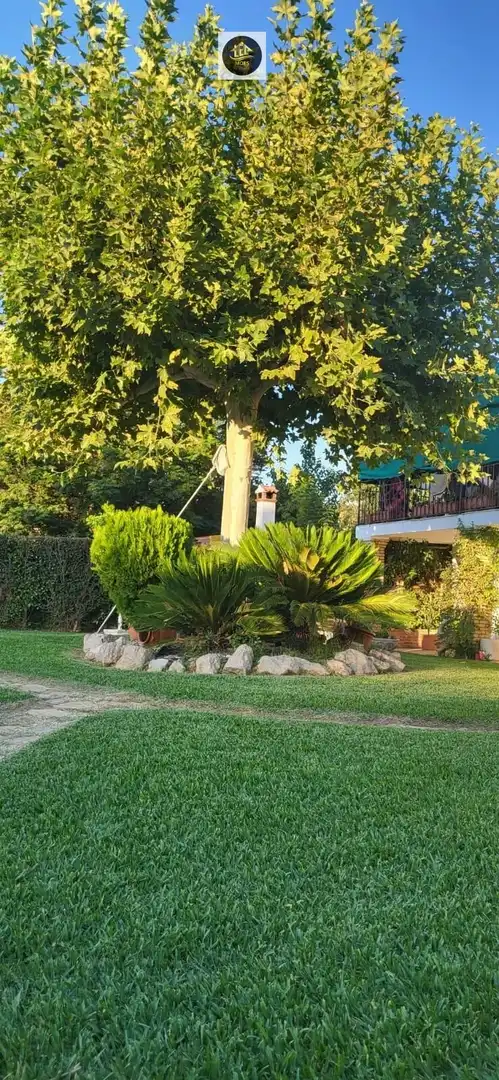Villa con piscina in vendita a Puente Jontoya - Puente de la Sierra - El Arroyo, imagen 5