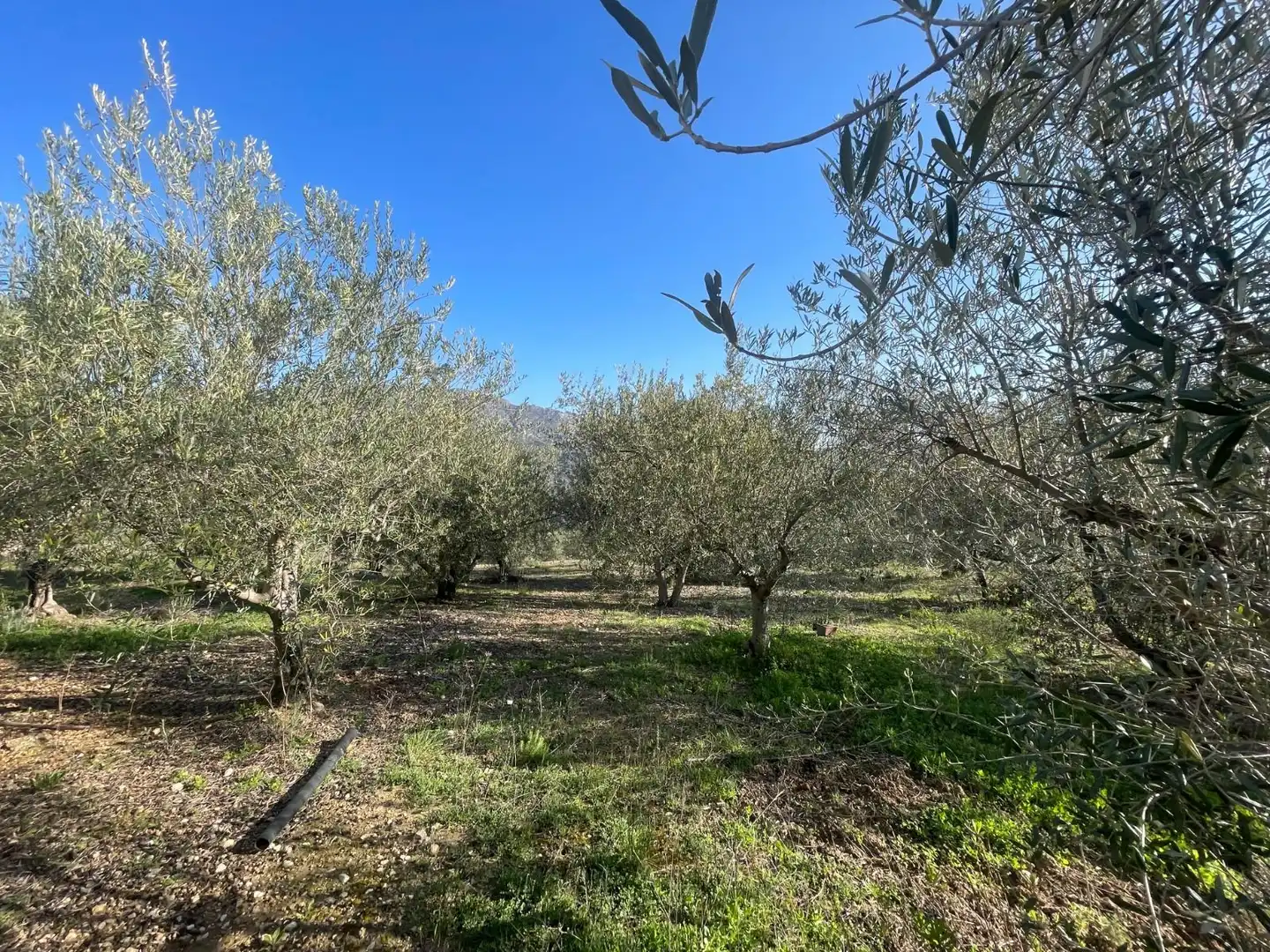 Terrenys i solars en venda a Benifato, imagen 4