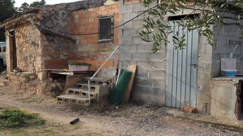 FINCA RUSTICA LLANA PLANTACION OLIVOS MASIA DE PIEDRA  40 M2