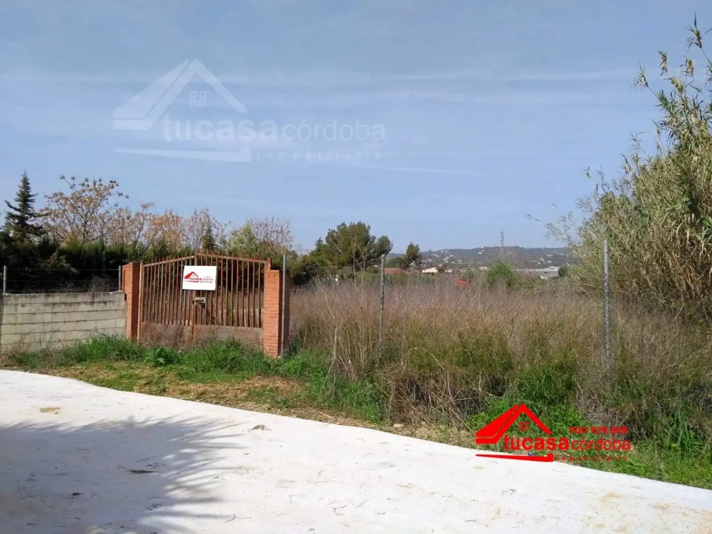 Terreny rústic en venda a Almodóvar del Río