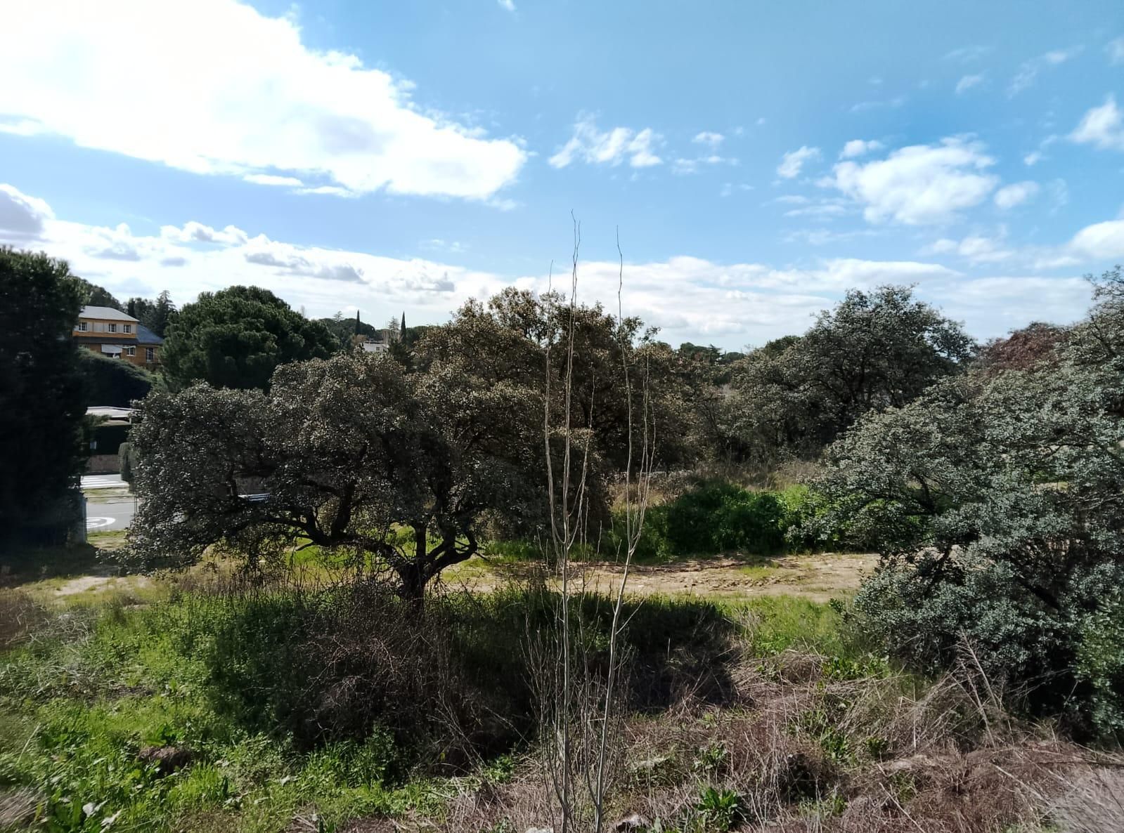 Residencial en venda a Calle CABO MACHICHACO, Club de Golf
