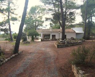 Jardí de Casa o xalet en venda en Alicante / Alacant amb Aire condicionat i Terrassa