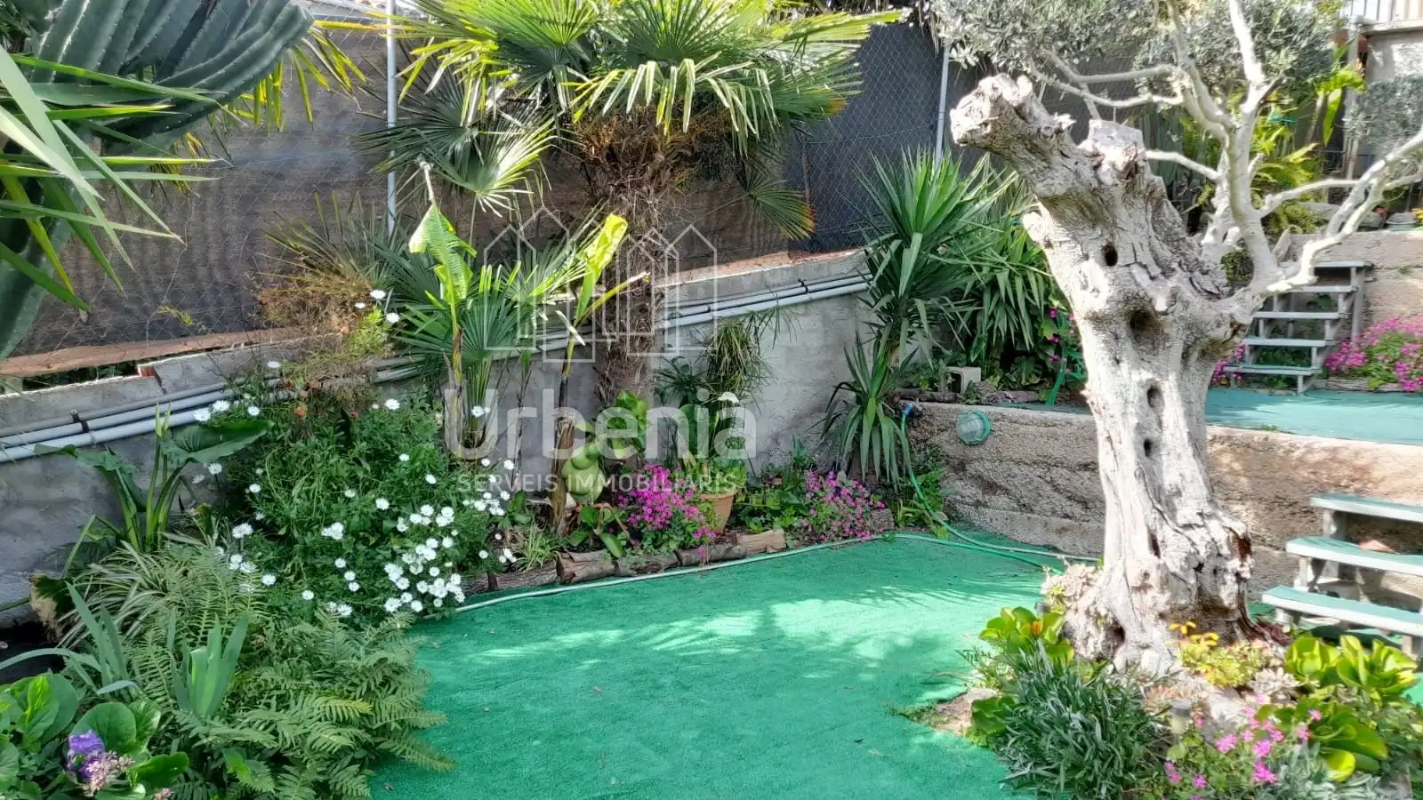 Maison à vendre à Palafolls, imagen 10