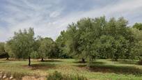 Finca rústica en venda en La Salzadella