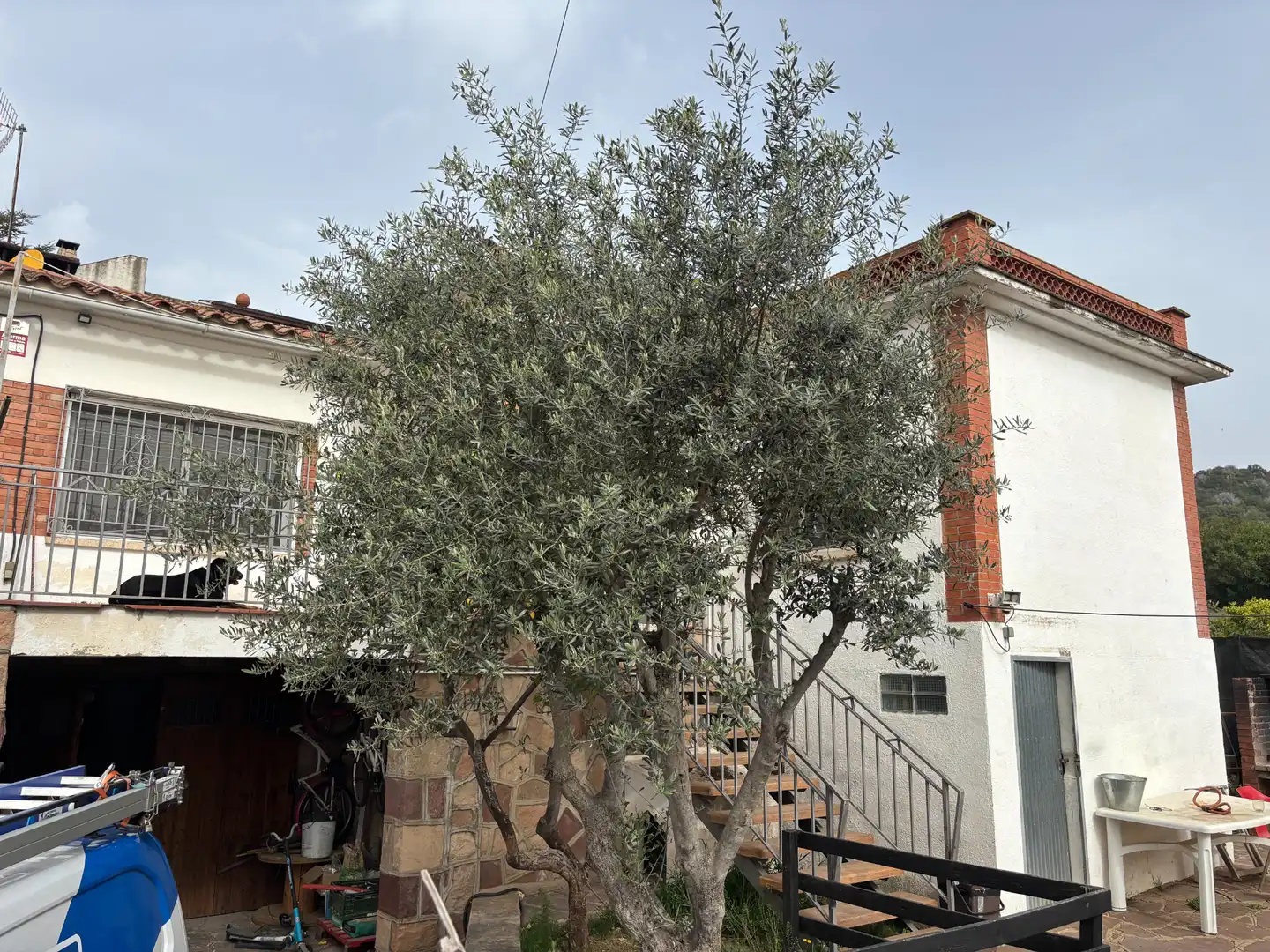 Casa o chalet en venta en Carrer Eugeni d'Ors, Caldes de Montbui