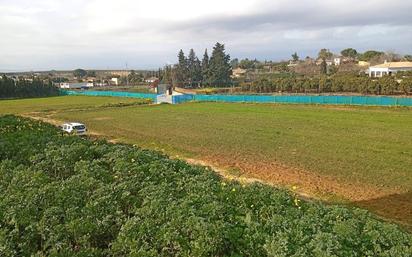 Finca rústica en venda en Sanlúcar la Mayor amb Jardí privat