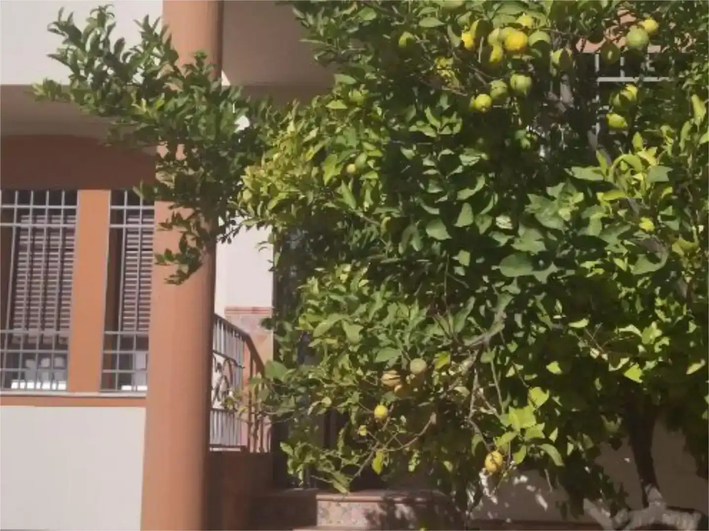 Exterior view of Flat for rent in Martos