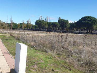 Terreny residencial en venda a Aldeamayor de San Martín