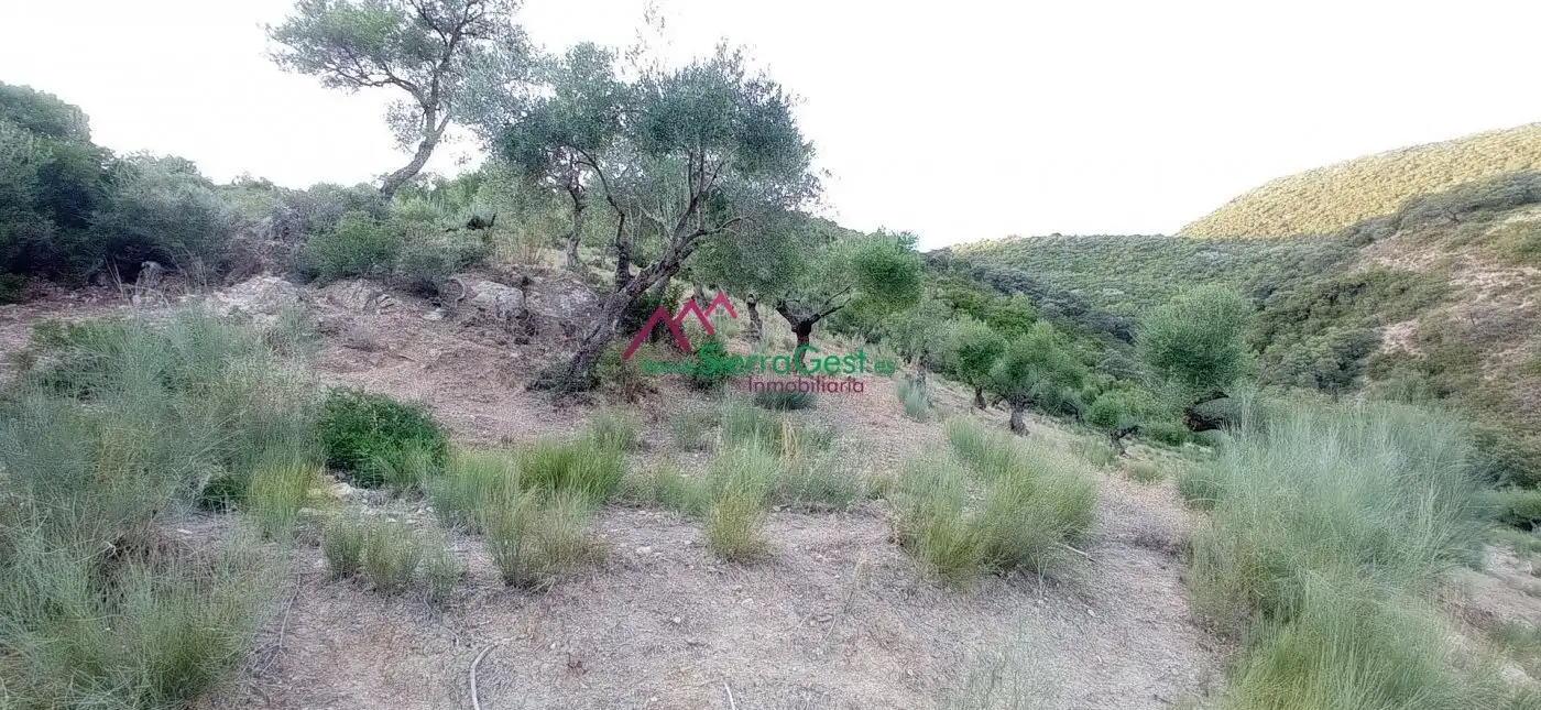 Terreni e lotti in vendita a Benaocaz, imagen 38