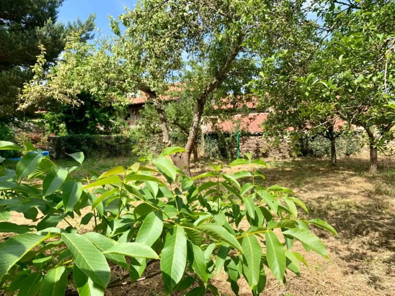 Jardín de Casa o chalet en venta en Arija con Calefacción, Jardín privado y Terraza