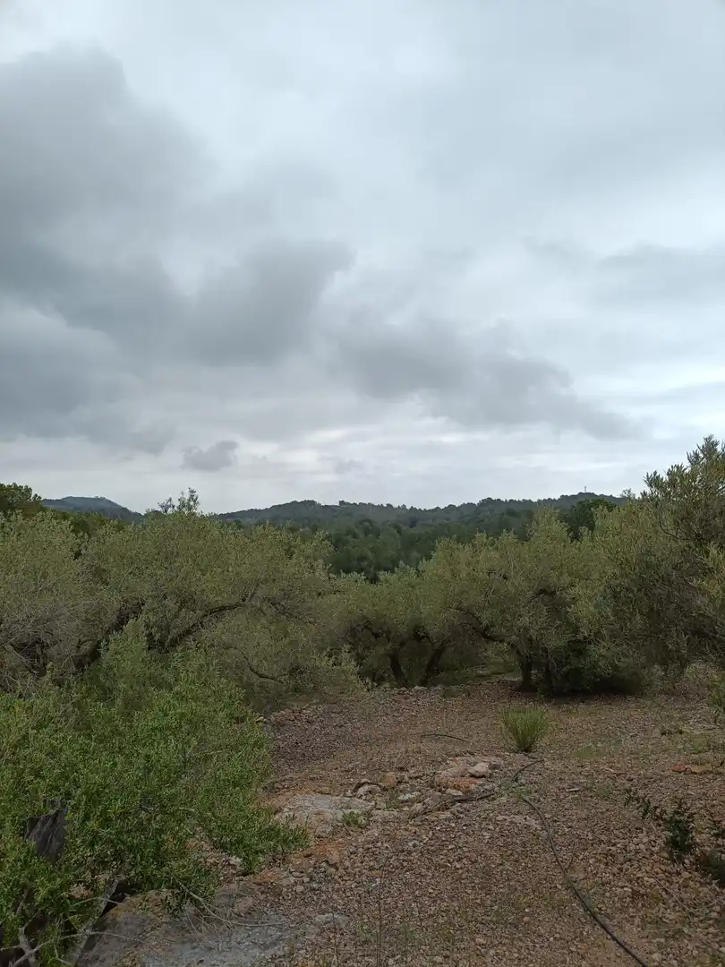 Residencial en venta en Sueca