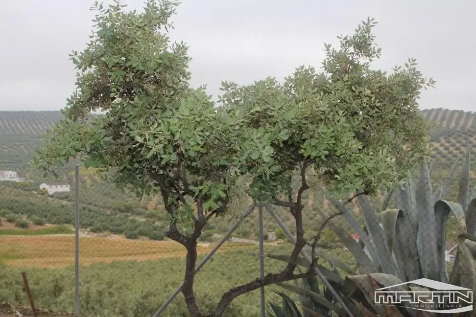 Terrenos y solares en venta en Cerro San Cristóbal, imagen 7