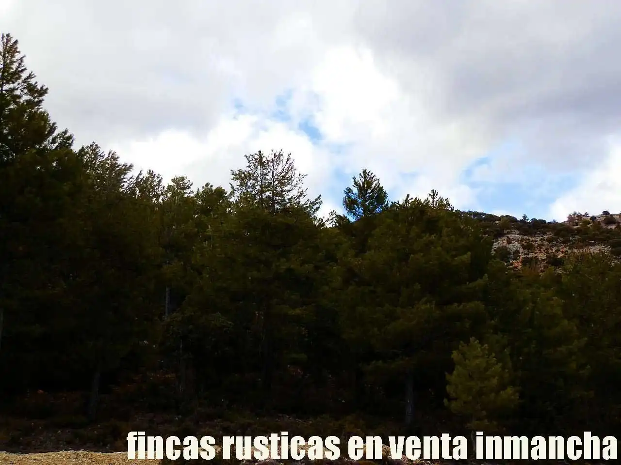 Terreno rústico en venta en Nerpio, imagen 4