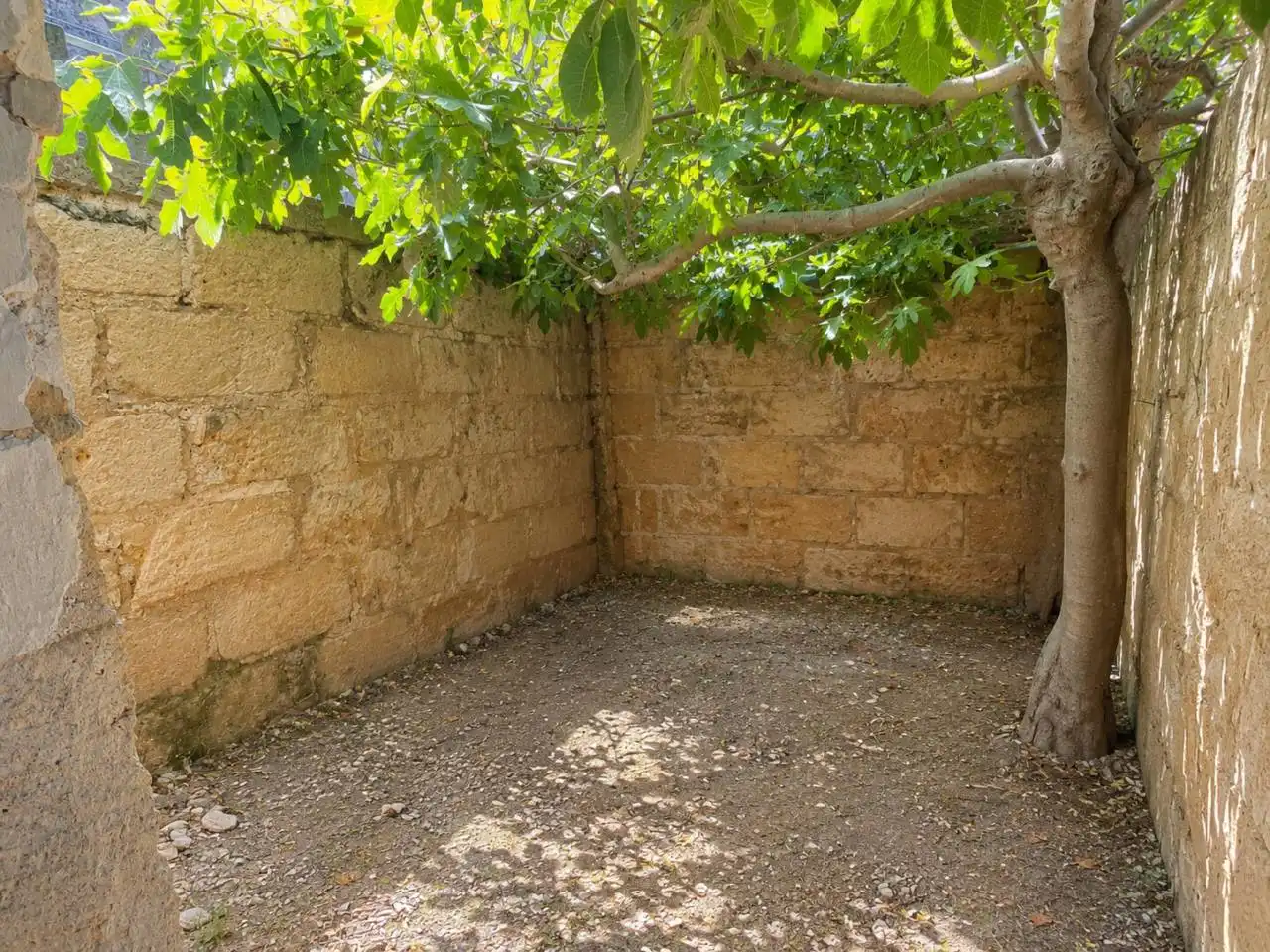 Jardí de Casa o xalet en venda en Sa Pobla