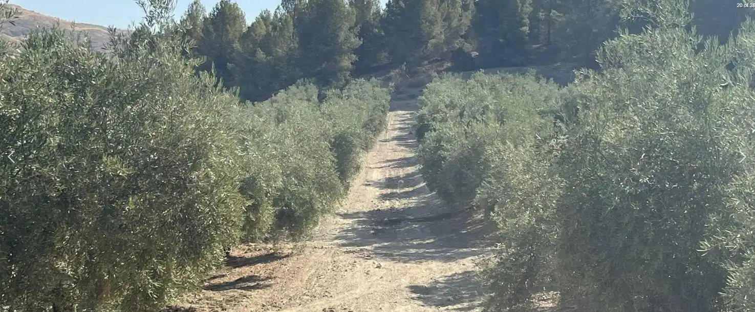 Finca rústica en venta en La Malahá
