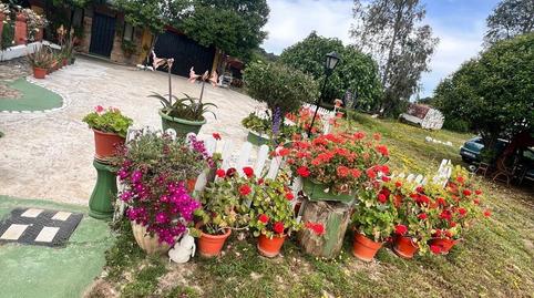 Photo 4 of Country house for sale in Vía Polígono 8 Paraje 214 el Jaral, 211, Norte, Badajoz