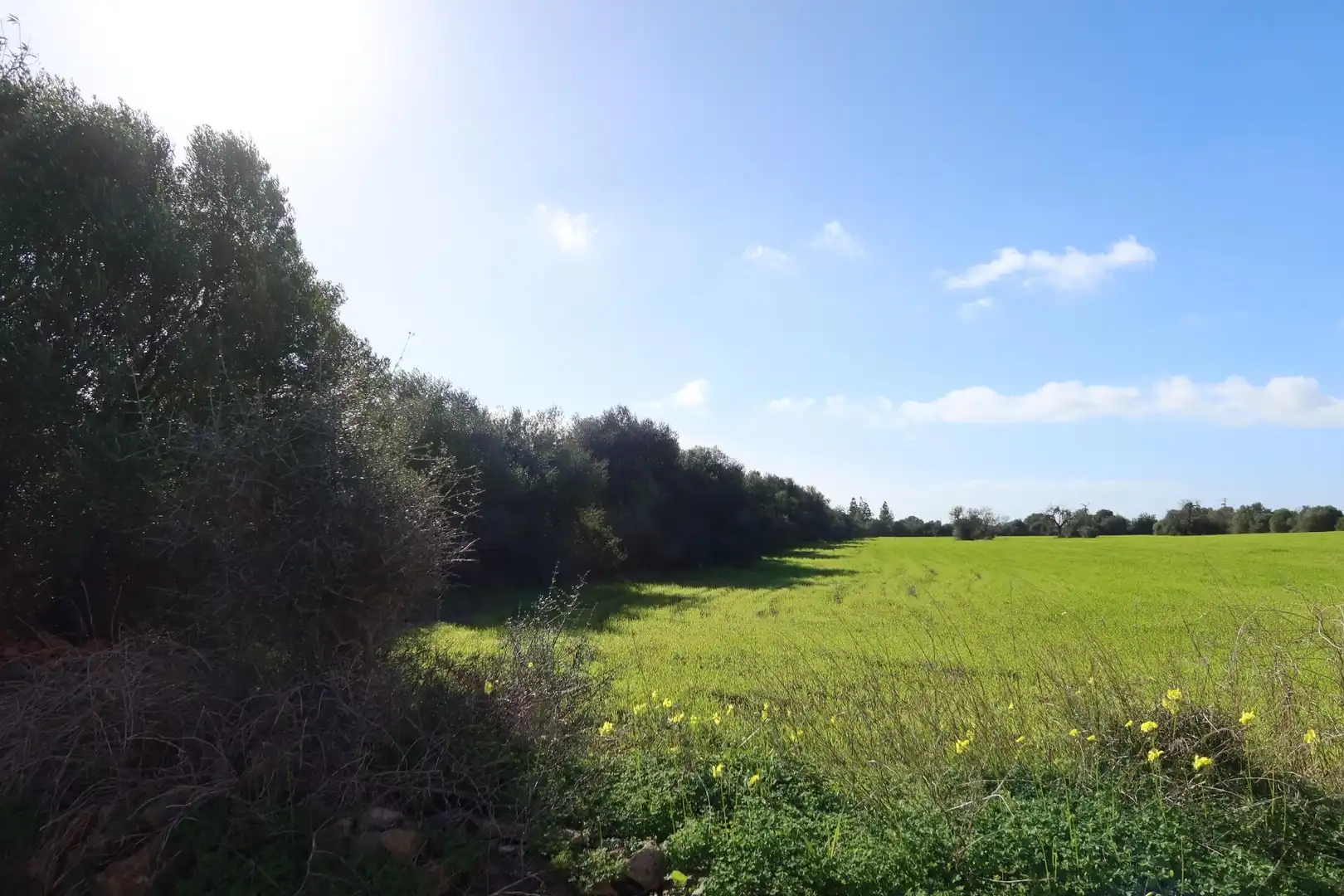 Residential land for sale in Campos poble, imagen 12