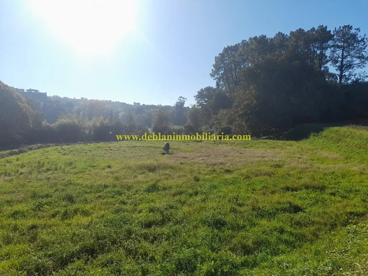 Terreno rústico en venta en Tui