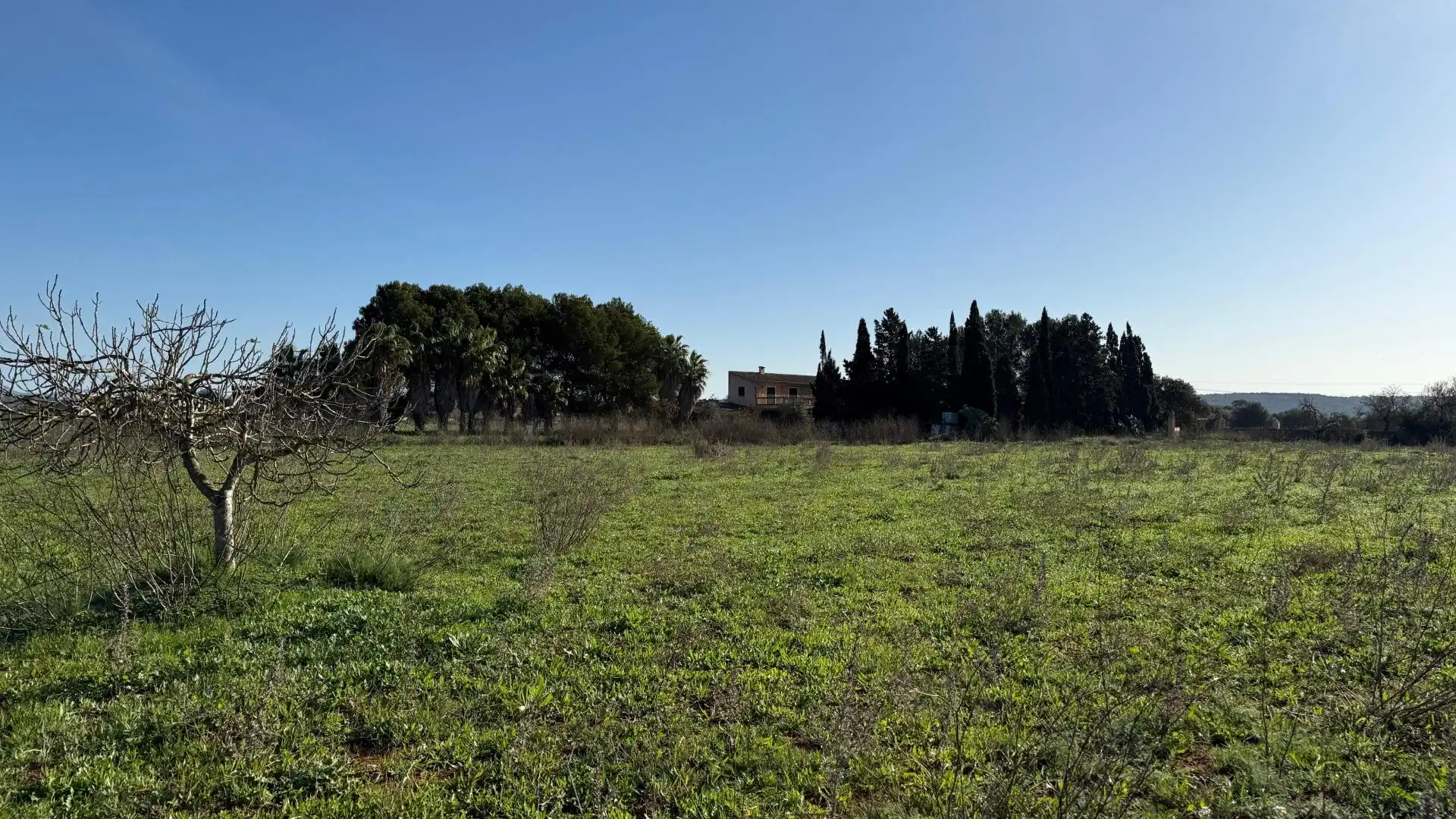 Finca rústica en venta en Camino del palmer, 528, Zona Rústica - Interior