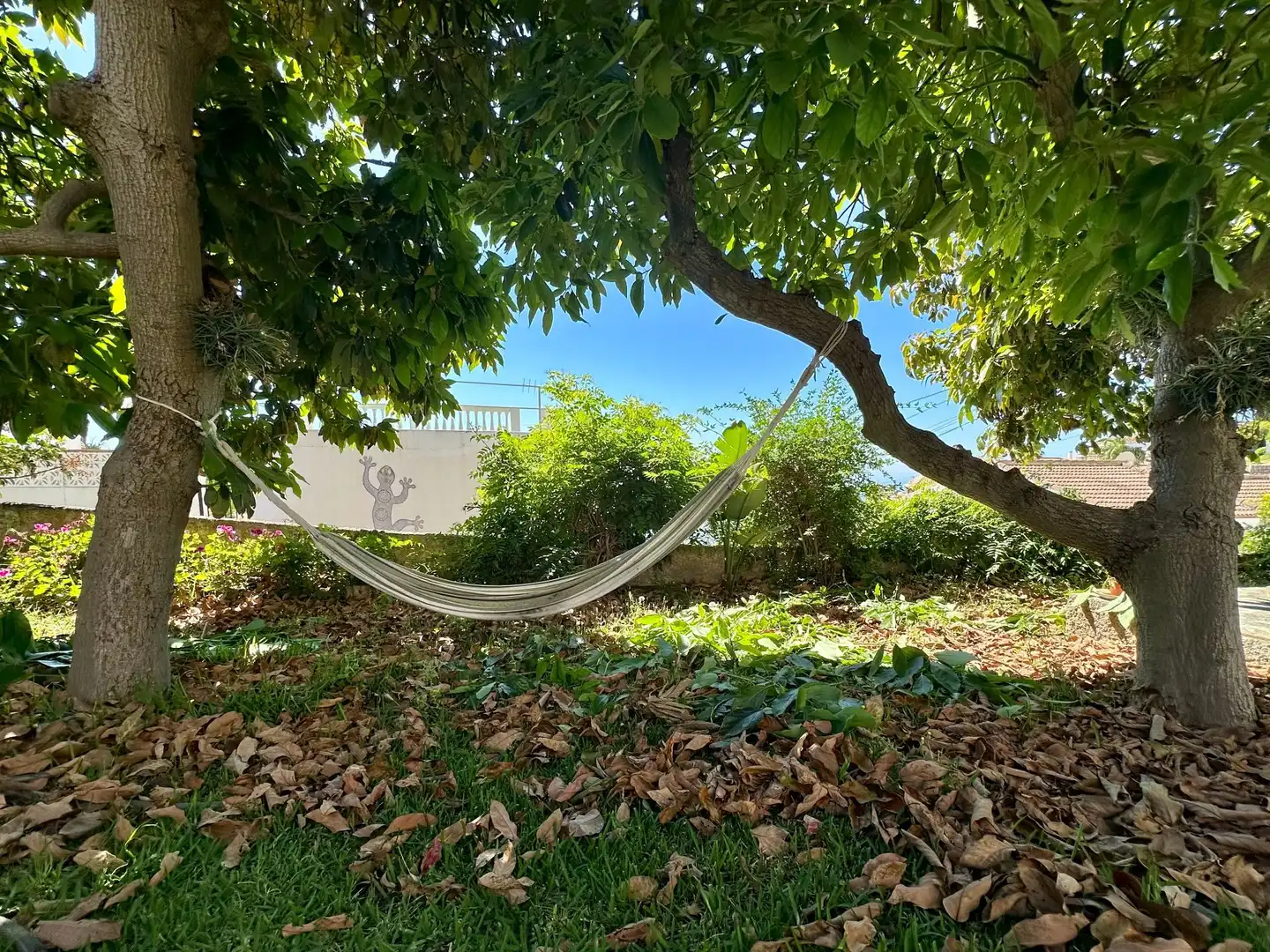 Maison avec jardin à vendre à miramar alto 11, imagen 18