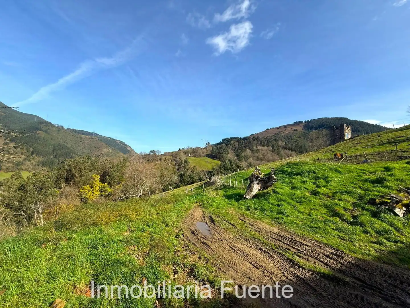 Casa o chalet en venta en Güeñes