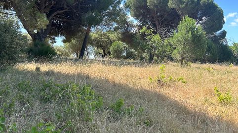 Finca rústica en Cenicientos, immagine 2