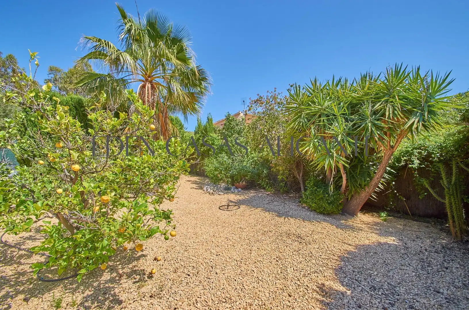 Jardín de Casa o chalet en venta en Busot con Aire acondicionado, Calefacción y Jardín privado