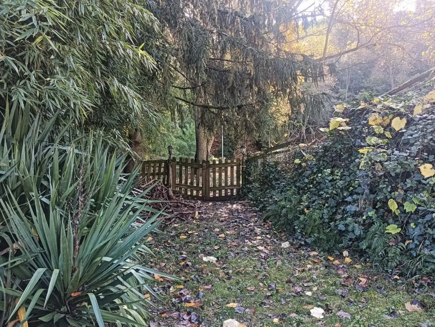 Finca rústica en venda a Vallgorguina