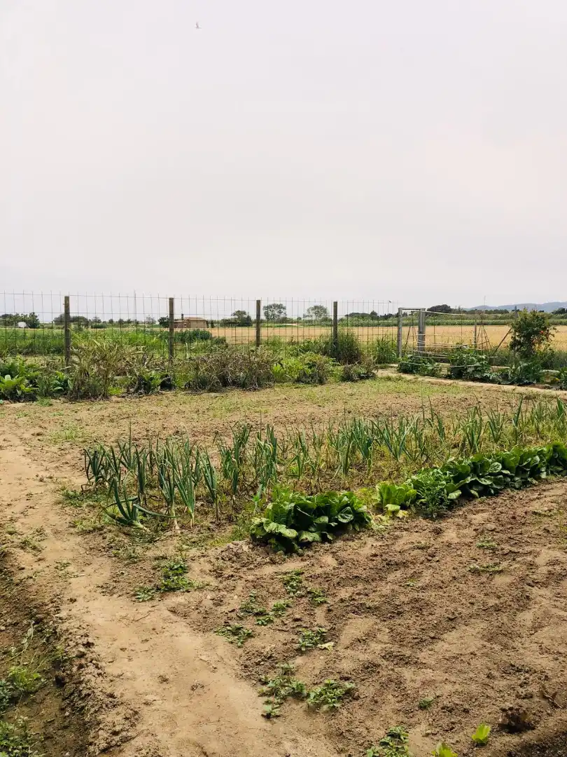 Rustikales Grundstück zum Verkauf in Camí dels Coixins 192, imagen 5