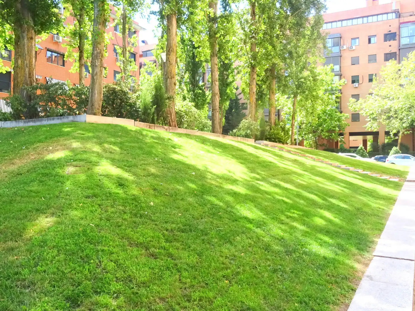 Jardí de Local de lloguer en Tres Cantos