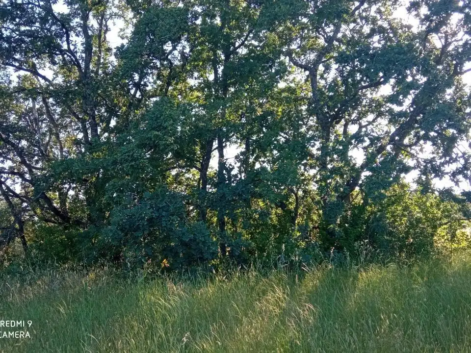 Terreno en venta en Robledillo de la Vera